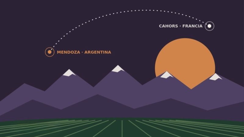 Malbec. Nació en Francia. Se hizo grande en los Andes.